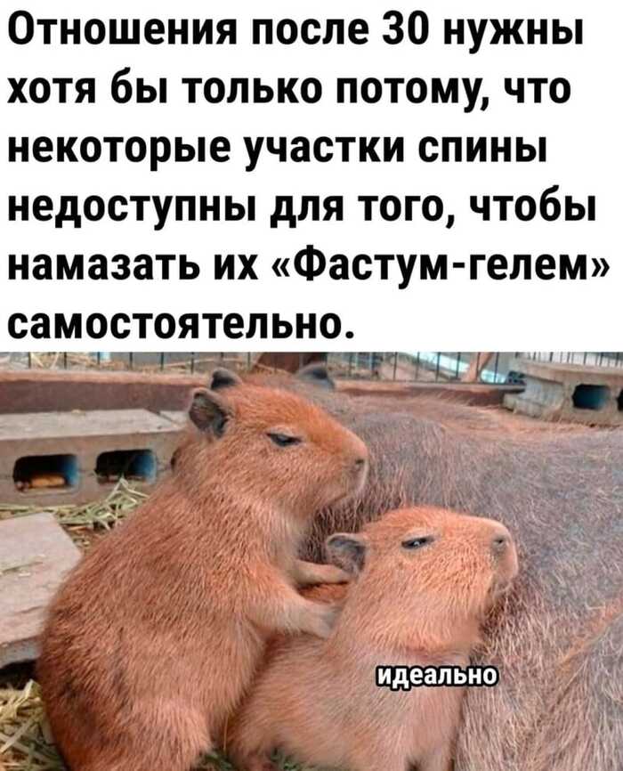   ... , , , ,   , , 30+