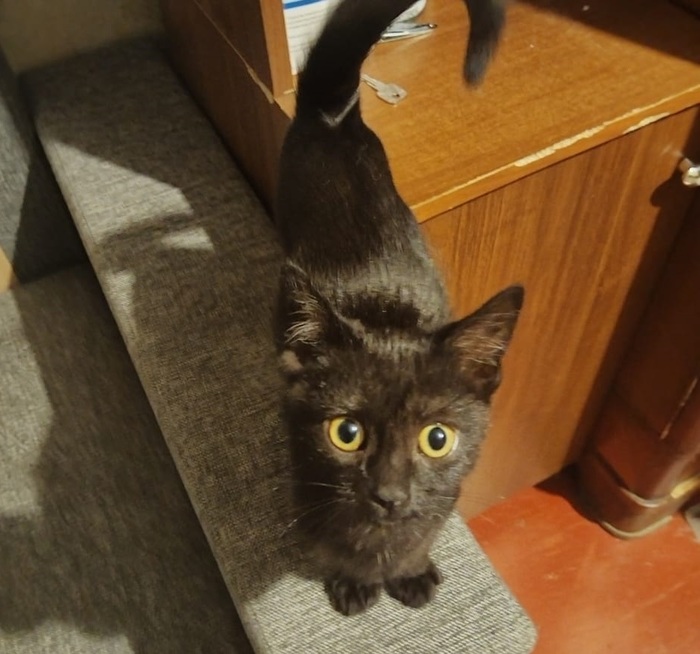 Зевс сейчас