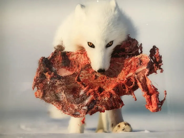 <!--noindex--><a href="https://pikabu.ru/story/chto_takoe_katastrofa_29072025_13015878?u=https%3A%2F%2Fmarena99.livejournal.com%2F8842239.html&t=https%3A%2F%2Fmarena99.livejournal.com%2F8842239.html&h=b4ddbfa9683c493f6d7b037614929fc2873c2730" title="https://marena99.livejournal.com/8842239.html" target="_blank" rel="nofollow noopener">https://marena99.livejournal.com/8842239.html</a><!--/noindex-->