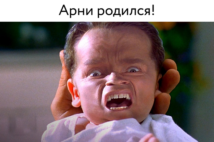   78 !       , ,   ,  , , , , RUTUBE, Telegram (), ,  