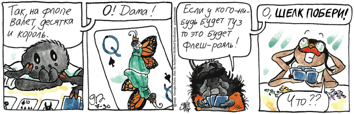   30.07.2025 , ,   (), 