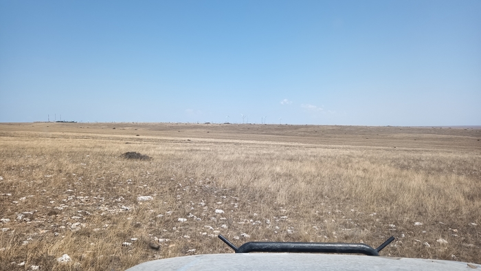 Походишь патрулём по Мохаве - поневоле затоскуешь по ядерной зиме.