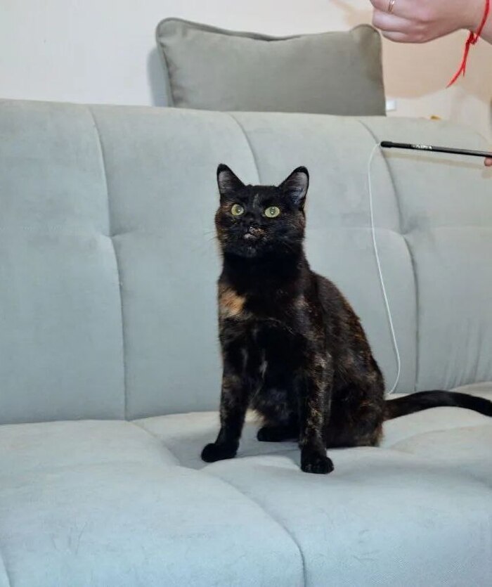 ����������� ����� ���� ���!