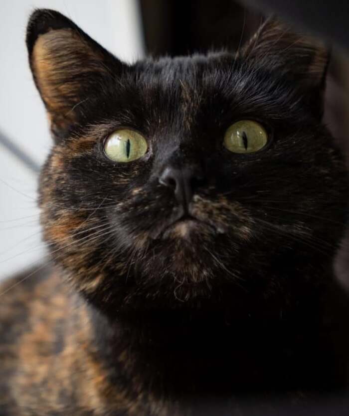 ����������� ����� ���� ���!