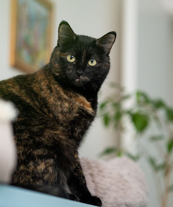 ����������� ����� ���� ���!