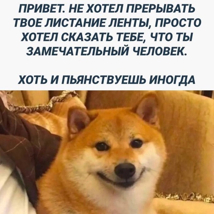   , ,   , , , , RUTUBE