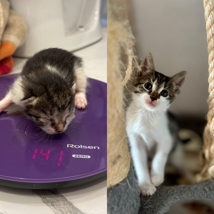 Червячок вырос и готов ехать в новый дом