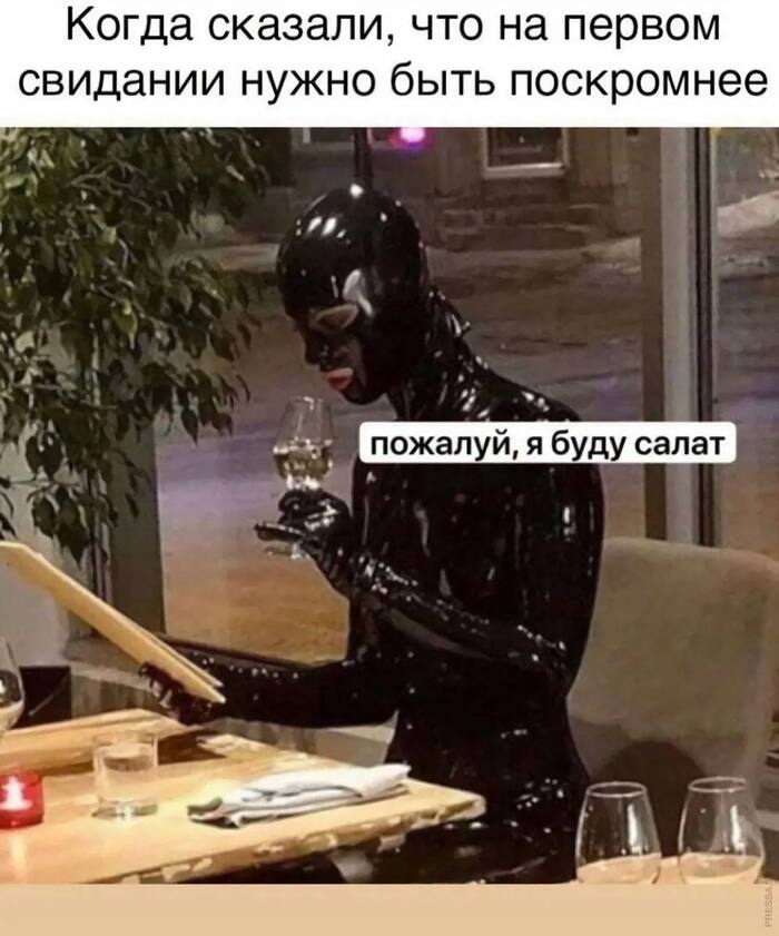      , , , , Telegram (),  , , 