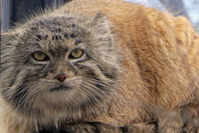 Привет из Праги