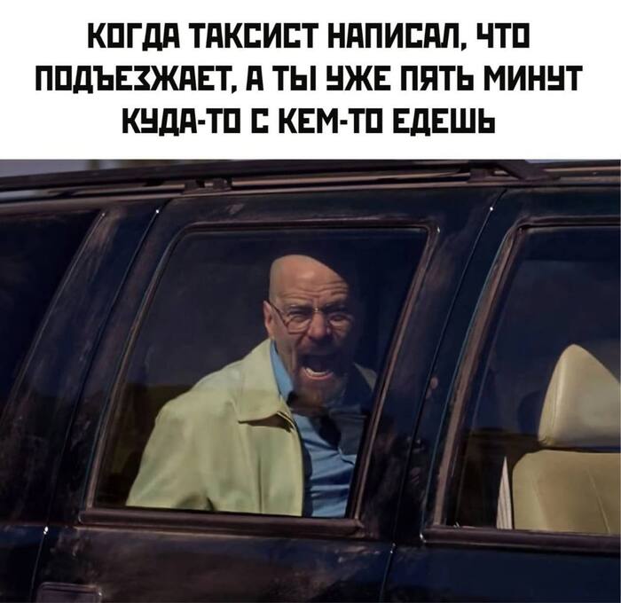     ,   , , , Telegram ()
