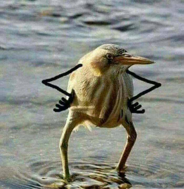 Ответ на пост «Профессия психотерапевт»