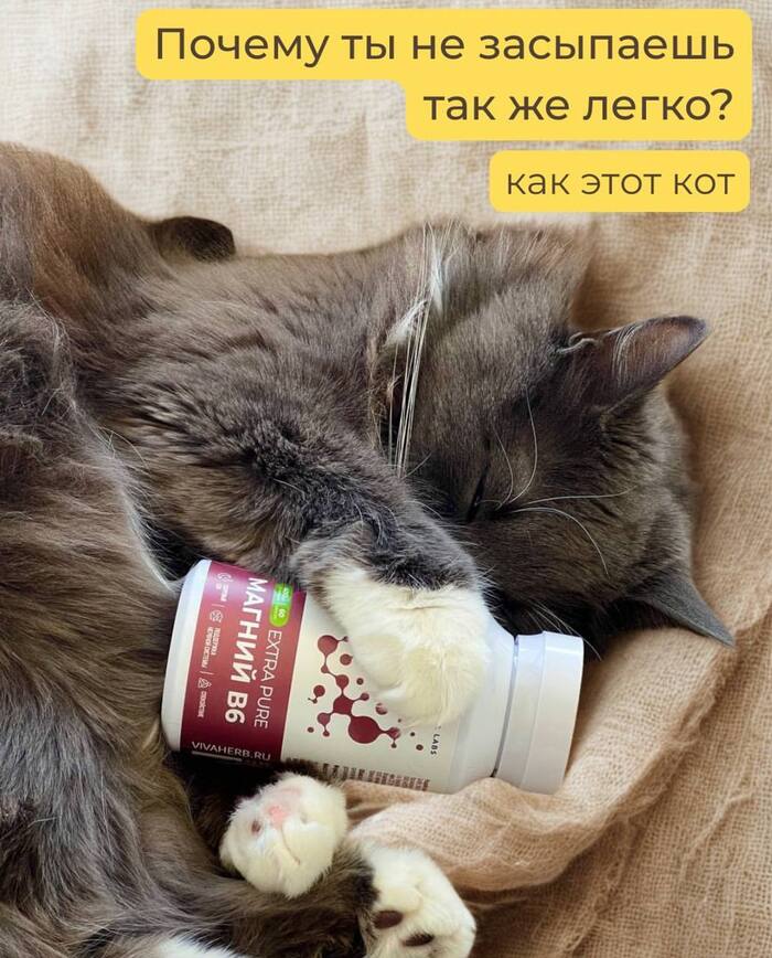     ? , , , , 