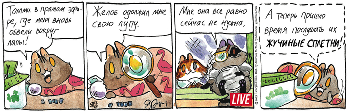 Котейкины Новости от 01.08.2025