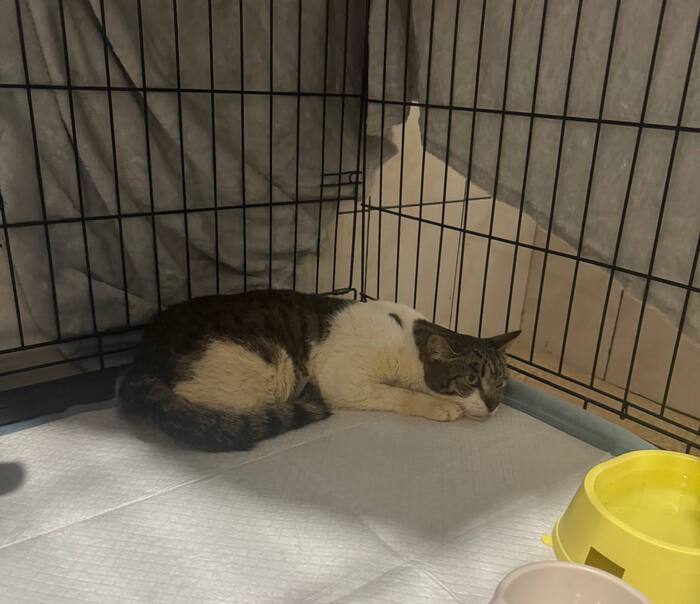 Макс на передержке