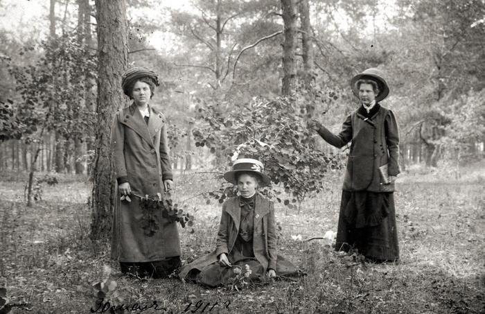 ������� ���������������� 30 ��� 1911 ����