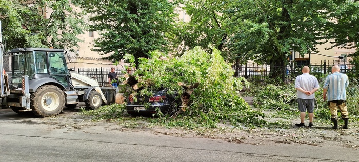 МЧС приехали, отпилили ветки, которые дорогу перегородили и уехали