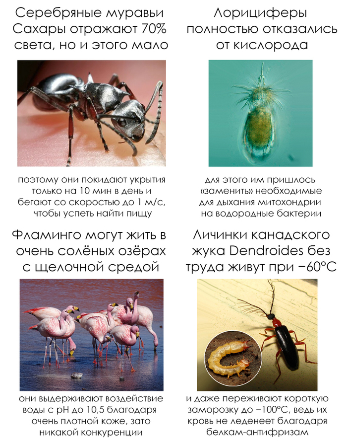 Школьные факты #49