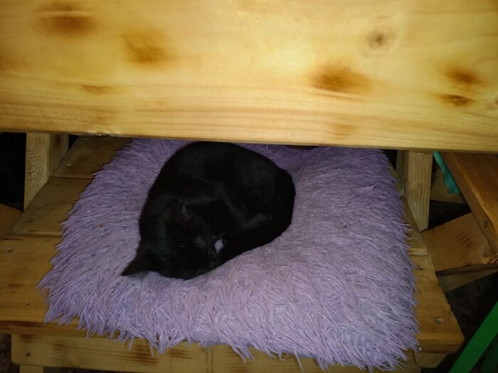 �� ���, ����� ������������ ����� ����� �����