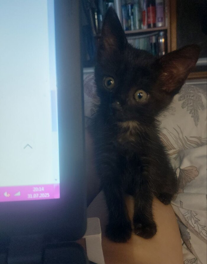 ������ � ��������. ����� ���� �������� - ������� ������ �������!