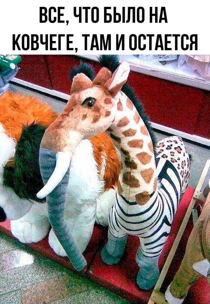     , , ,   ,  