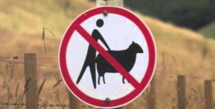 �������� ����� ������ ����� �� ����� �����������, ��������� 100 ������ �� ���