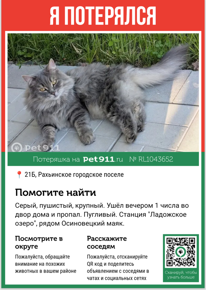   ! . ,  ,   ,  , ,  , -,  ,  , ,  