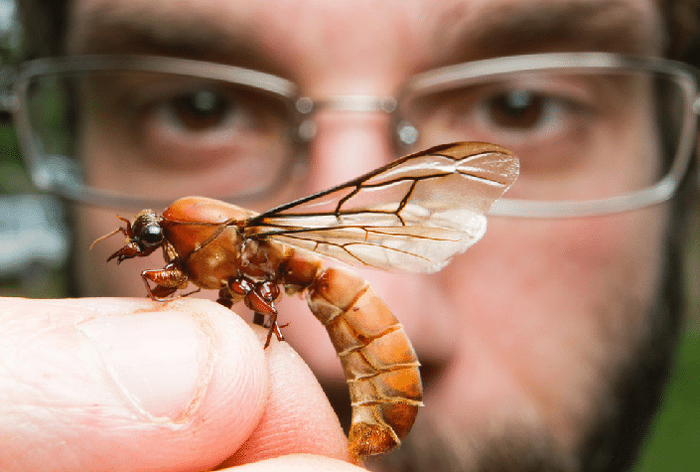 Конкретно этих бояться не стоит, но очень хочется.