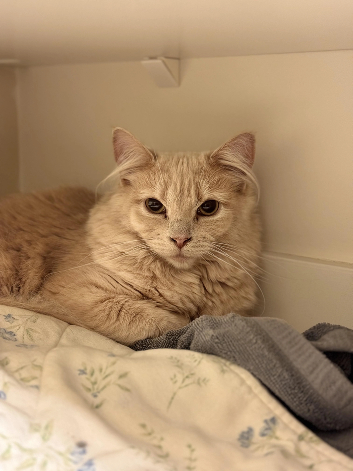 Мужики, кому за 30, волосы в ушах стригли уже?