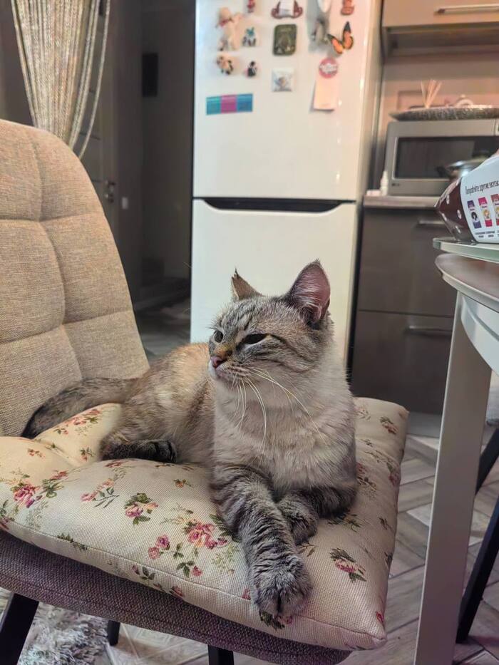 Мальвина любит покушать