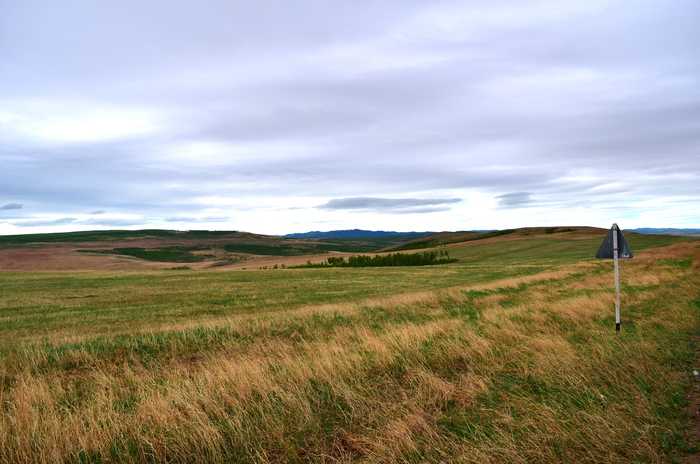 Снимки сделаны по дороге из Нерчинска с Сретенск