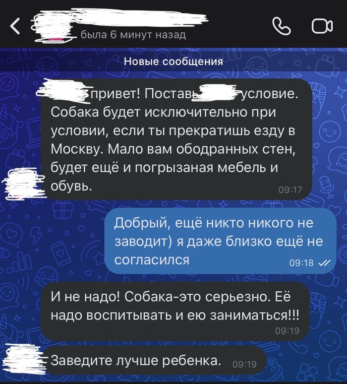 «Собаку не надо. Лучше заведите ребёнка.» — гениальный совет от тёщи