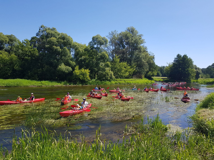 Корек на жеке (korek na rzekie - пробка на реке)