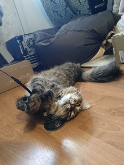 Иллюстрация к комментарию