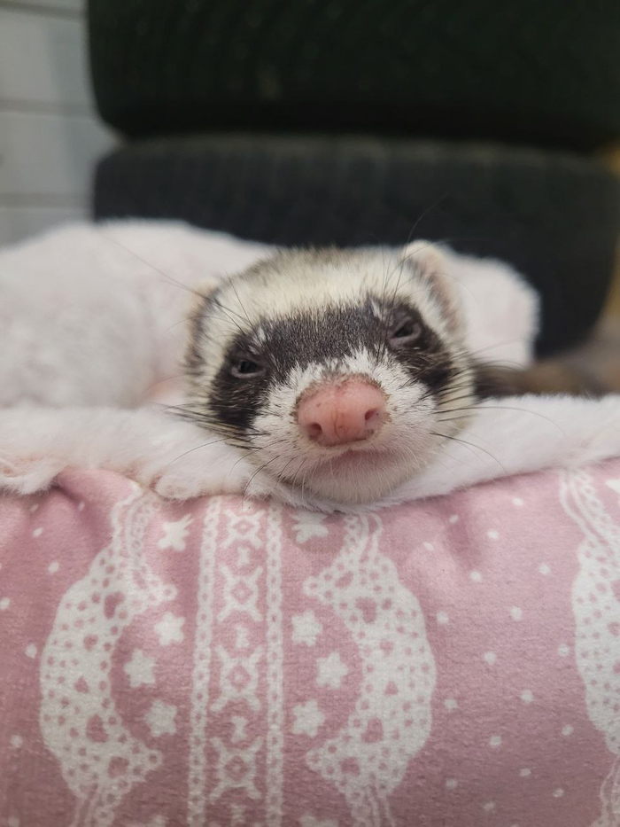   ,    :3 ,  , , 