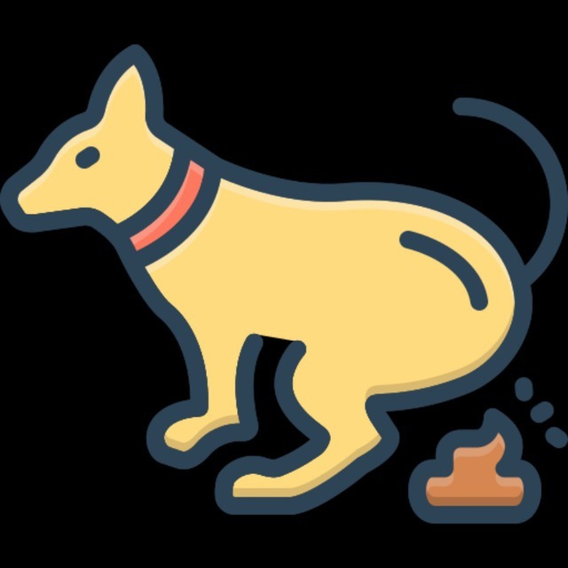 Поможем ИИ бороться за чистые улицы!