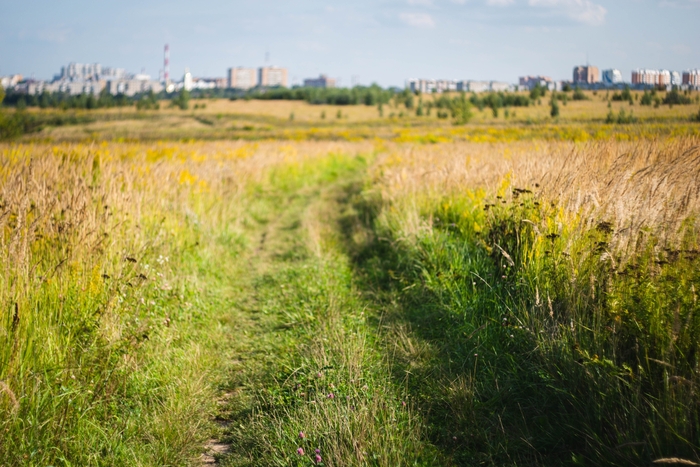 Летние городские окраины
