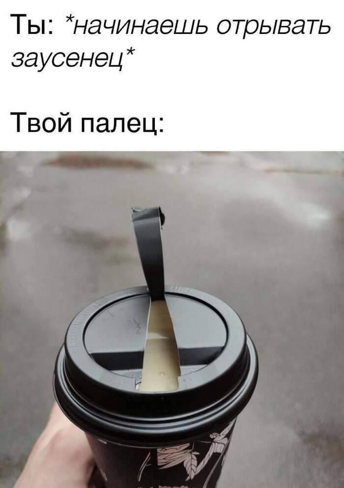       ,   , , , Telegram ()