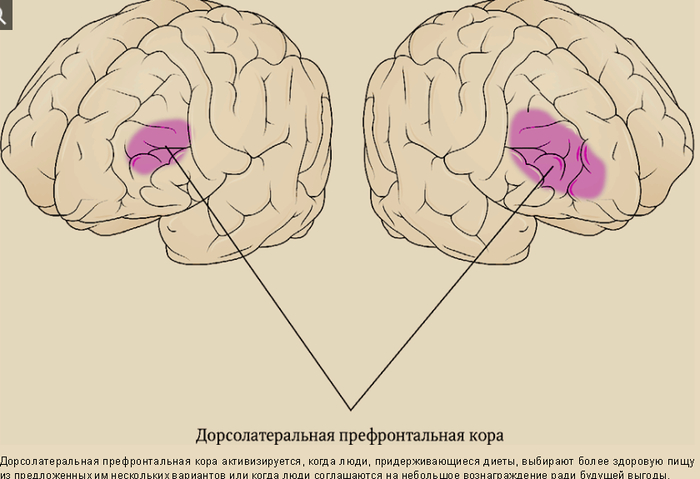 ���� ����