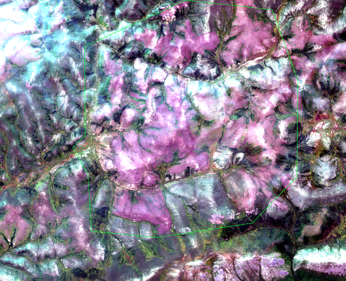 Бодайбинский район. Зона гипергенеза выделена зеленым контуром.