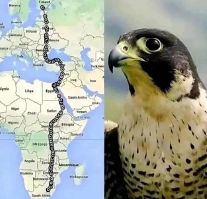  ,  GPS-,          , , , , ,  , 
