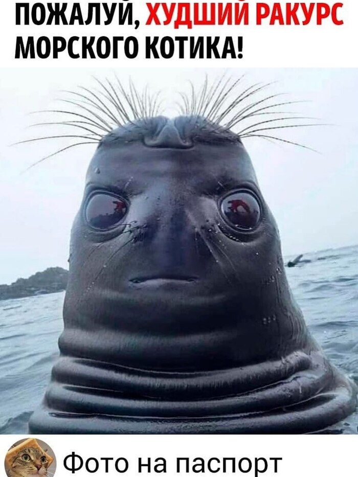       , , ,  ,   