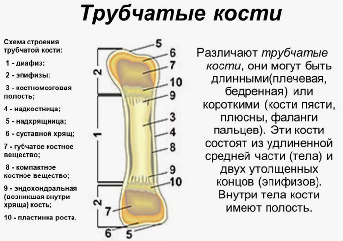   .   -  ,      .  " "    .