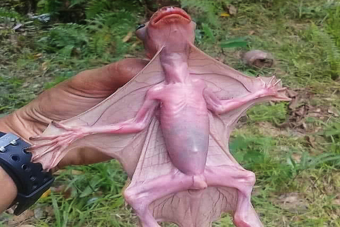         ?  ,   , , ,  , , ,  , 