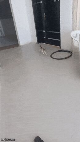   , , , 