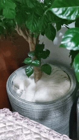   , , , 