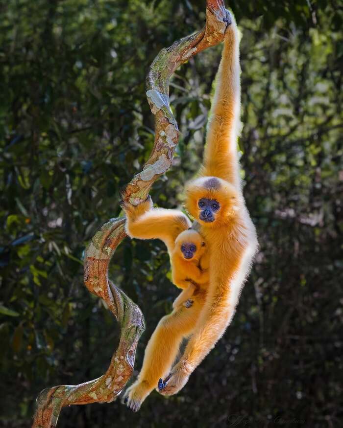     , , , ,  ,  , , 