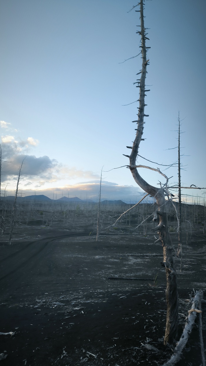 Вдали Толбачик, как всегда в облаке.