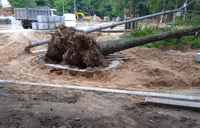 "Благоустройство" парка Сокольники