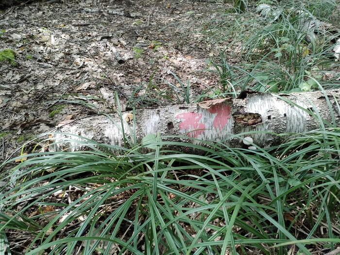 Вот зачем стволы пронумеровали и сколько стоила работа бригады по нанесению номеров в течение нескольких недель?!