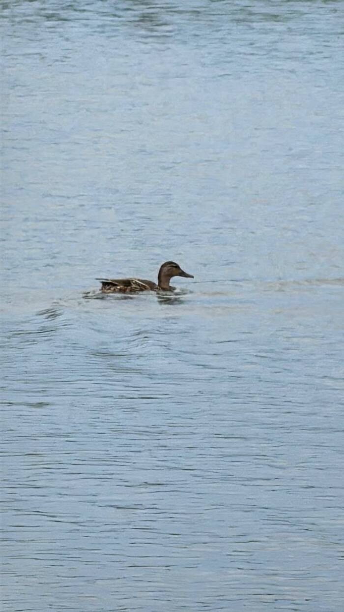 ���� ��������� ���� �� ���������� 